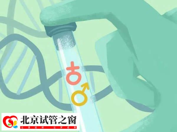 为什么很多过来人说一代试管比较容易生女儿？(图1)