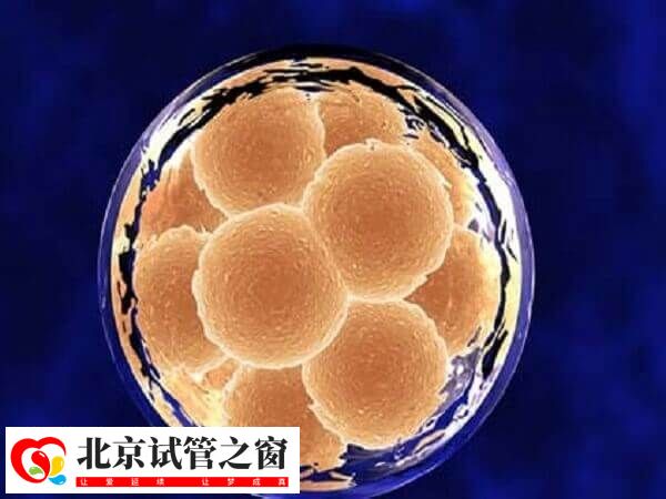 北医三院养囊短信成不成功都会发吗？一般第几天发？(图1)