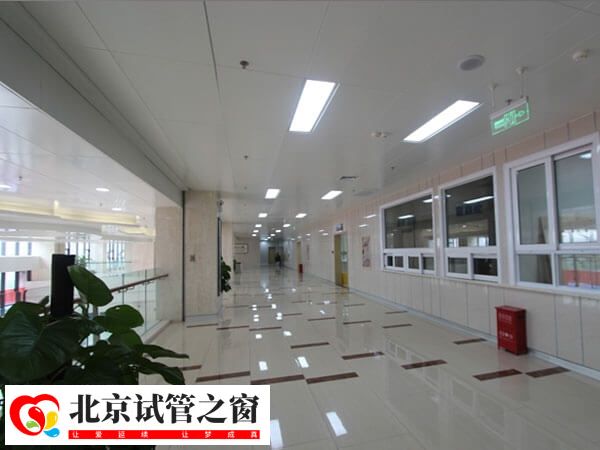 北京大学第三医院试管婴儿医生排名前十中有哪些专家？(图2)